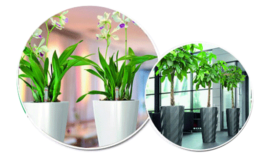 多年行業精研經驗豐富